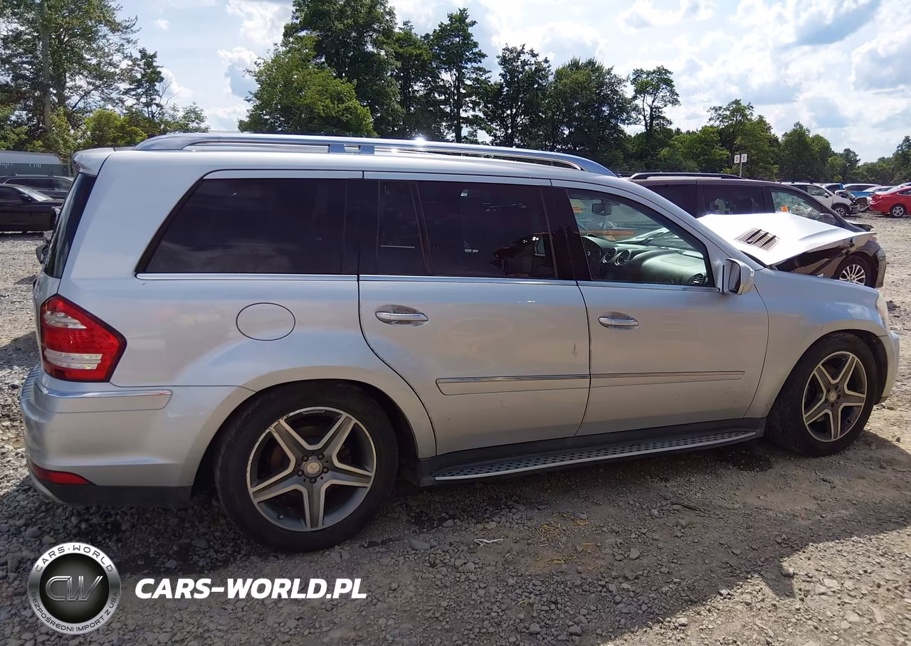 2010 Mercedes-Benz Gl 450 4Matic VIN:4JGBF7BE8AA619073 - 13