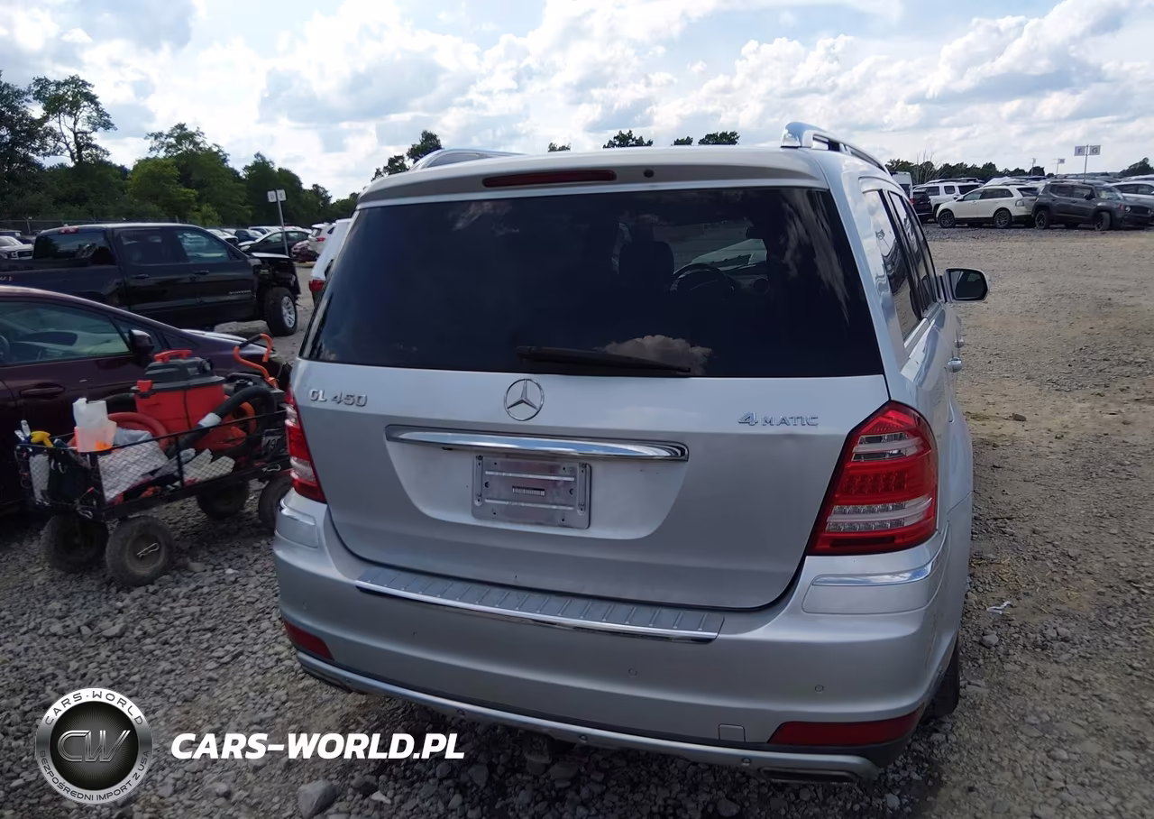 2010 Mercedes-Benz Gl 450 4Matic VIN:4JGBF7BE8AA619073 - 16