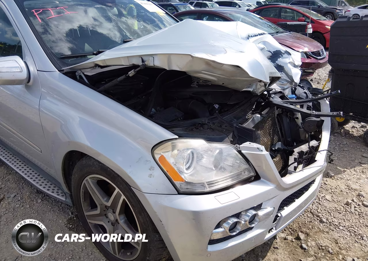 2010 Mercedes-Benz Gl 450 4Matic VIN:4JGBF7BE8AA619073 - 17