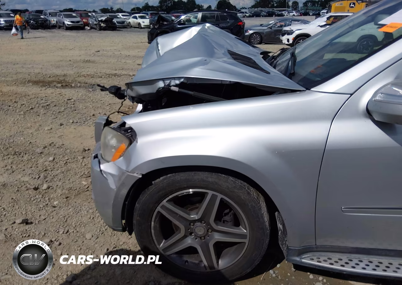 2010 Mercedes-Benz Gl 450 4Matic VIN:4JGBF7BE8AA619073 - 18