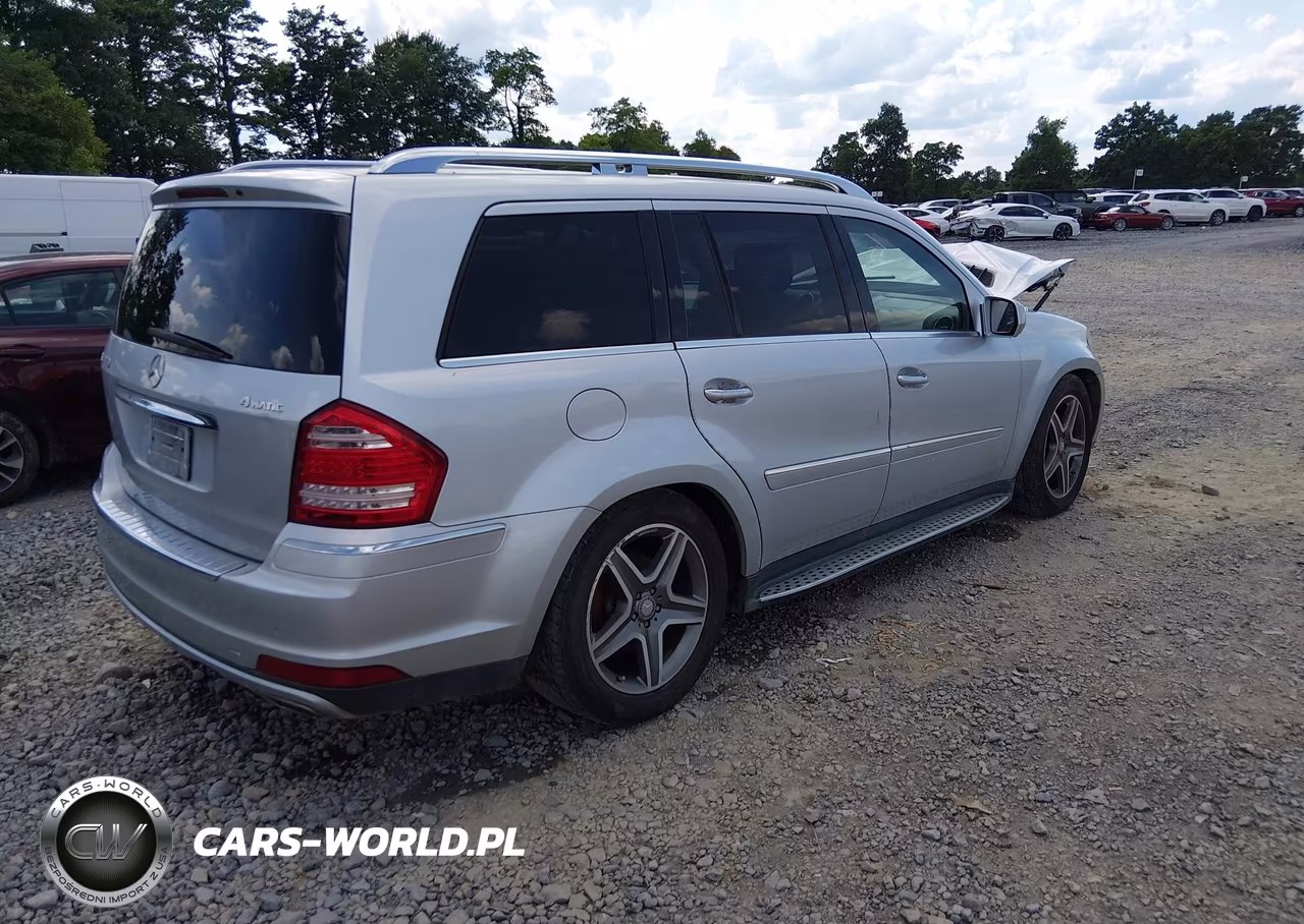 2010 Mercedes-Benz Gl 450 4Matic VIN:4JGBF7BE8AA619073 - 4