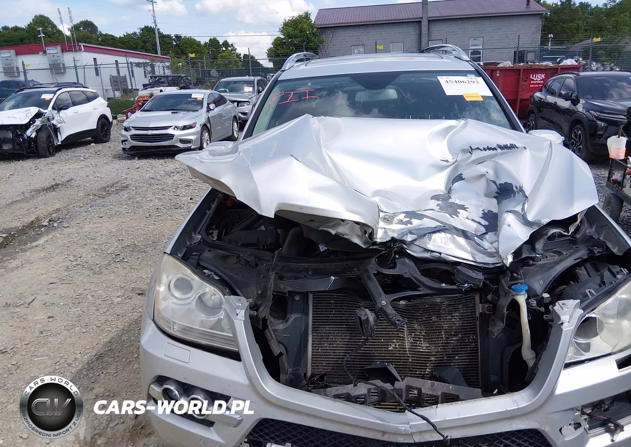 2010 Mercedes-Benz Gl 450 4Matic VIN:4JGBF7BE8AA619073 - 6