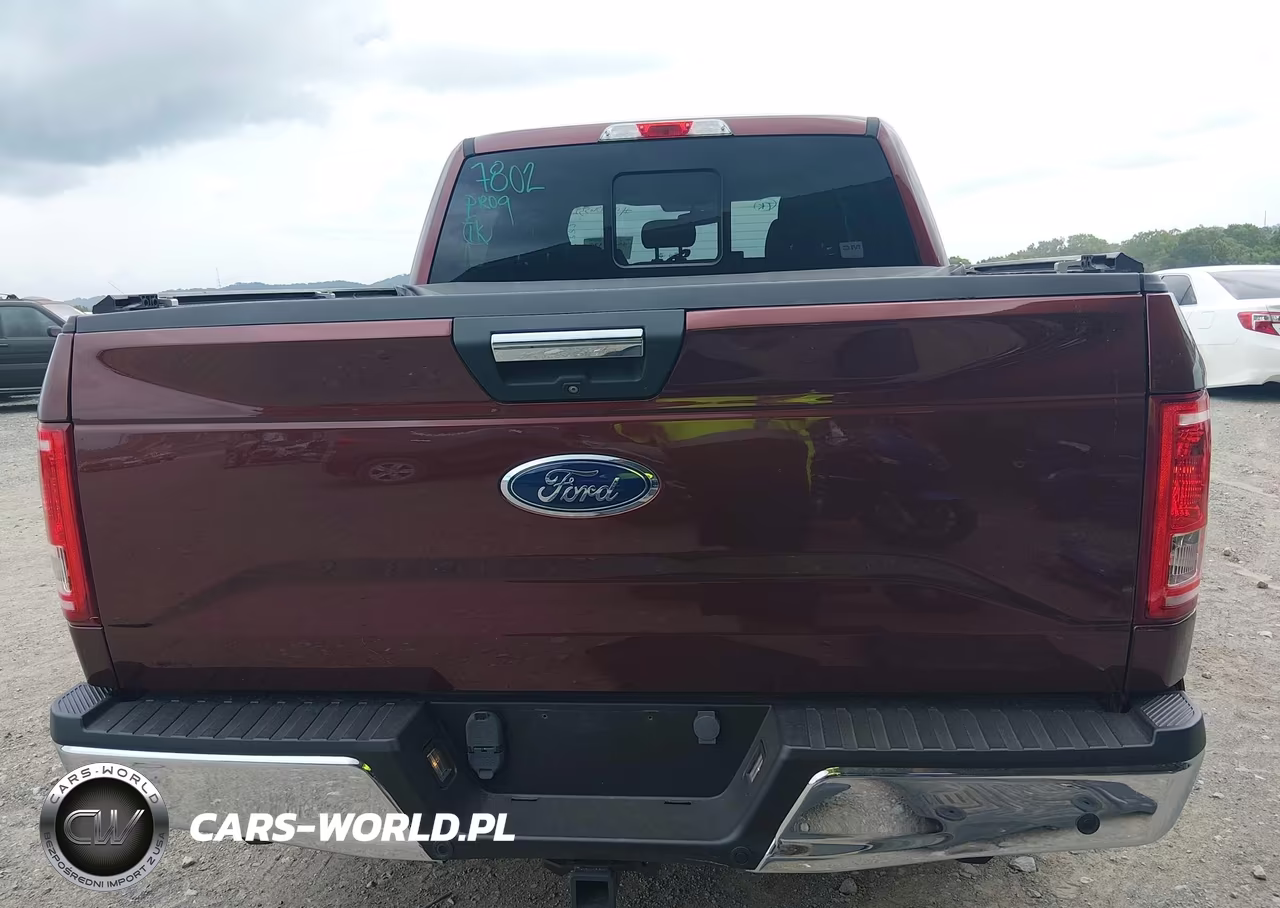 2015 Ford F-150 Xlt VIN:1FTEW1CP4FFB78793 - 16