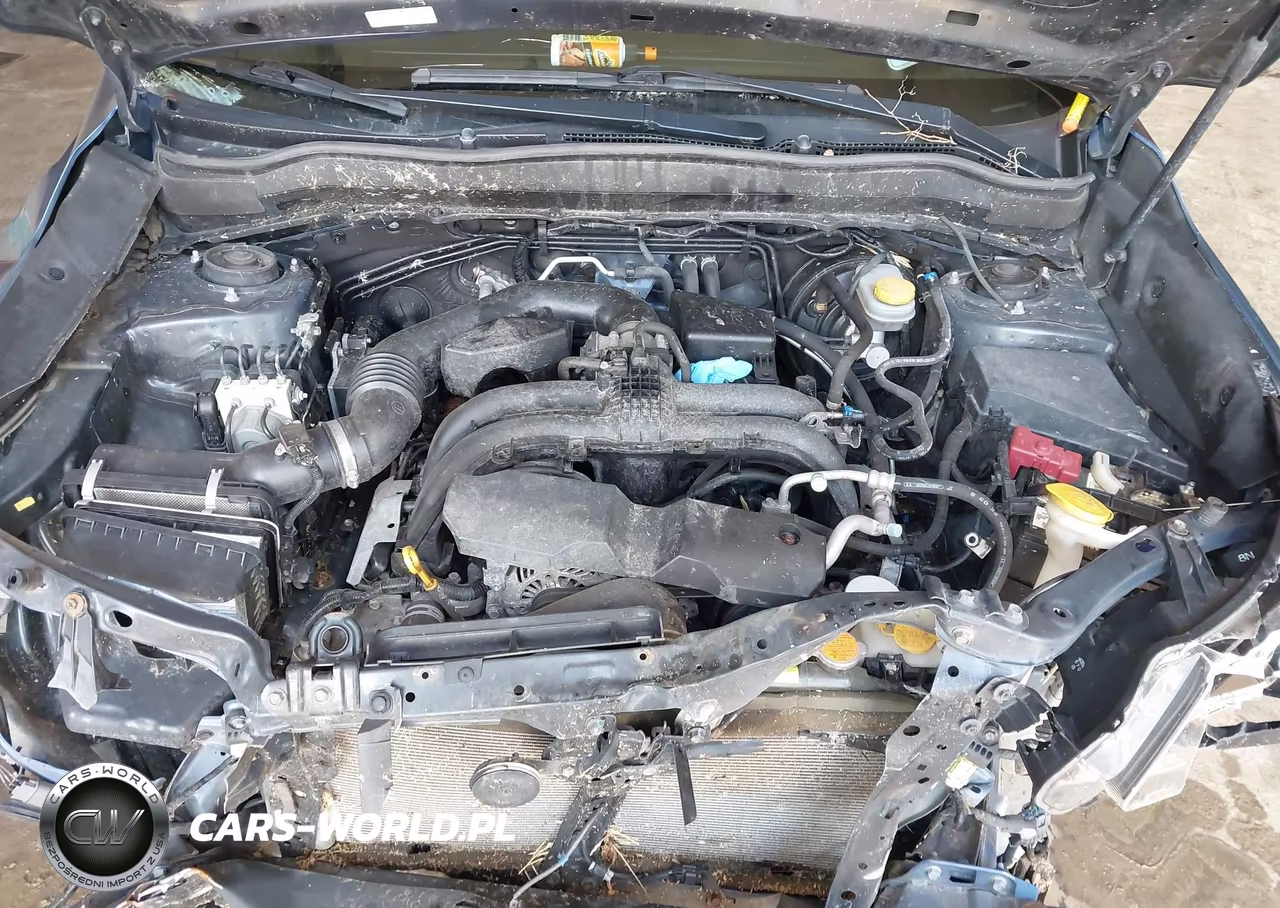 2017 Subaru Forester 2.5I Premium VIN:JF2SJAEC2HH518527 - 10