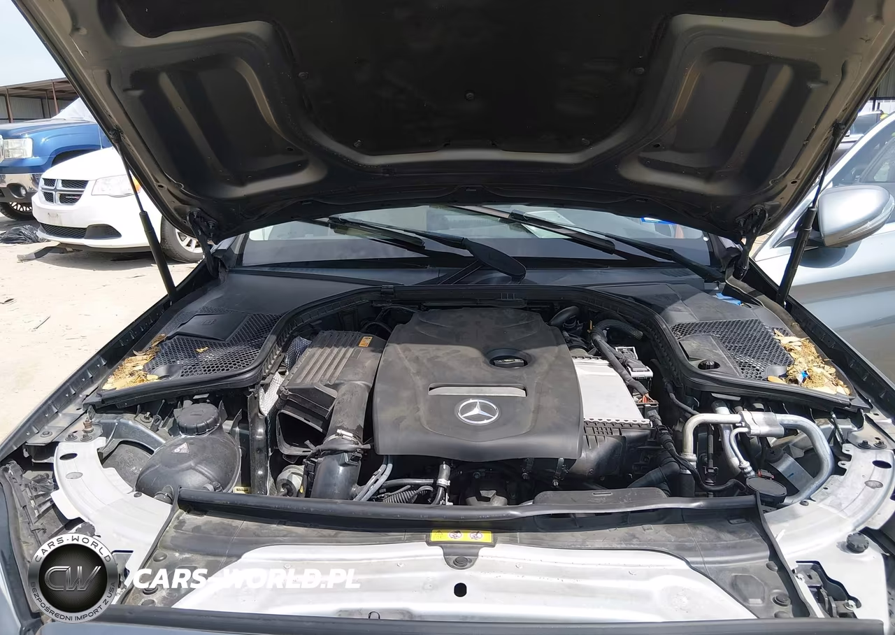 2017 Mercedes-Benz C 300 VIN:55SWF4JB3HU211141 - 10