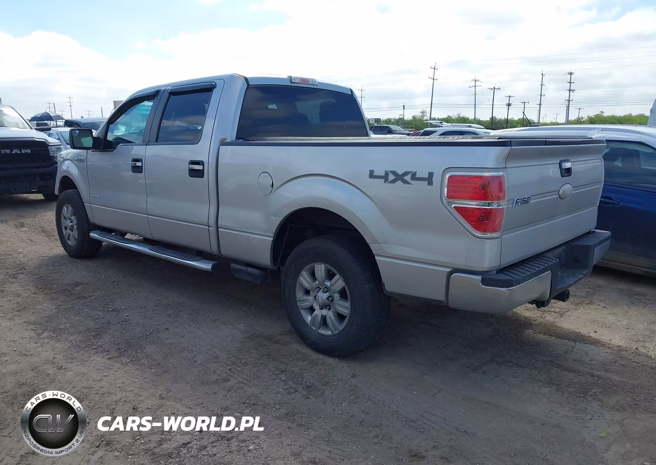 2011 Ford F-150 Xlt VIN:1FTFW1ET8BFB96951 - 3