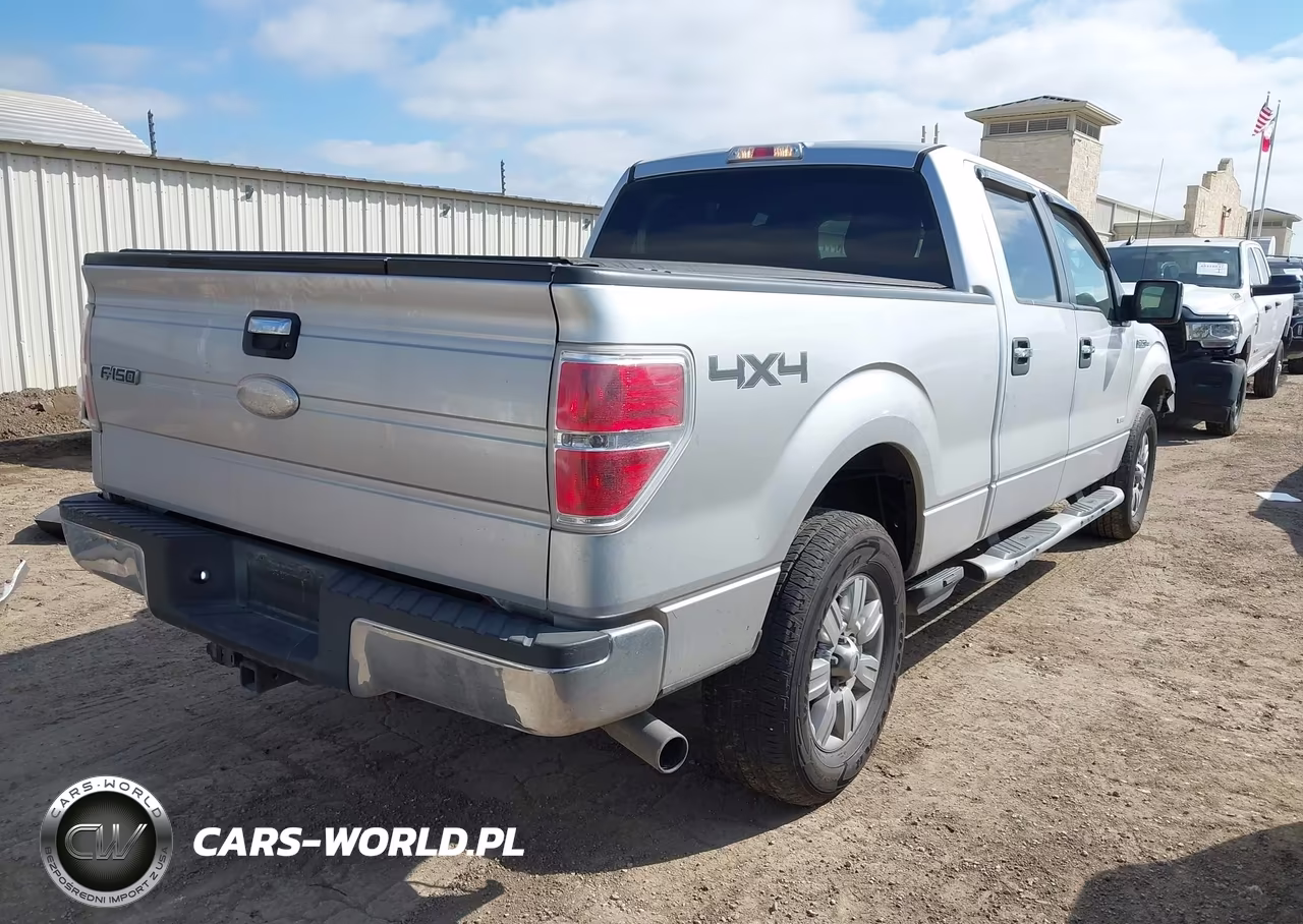 2011 Ford F-150 Xlt VIN:1FTFW1ET8BFB96951 - 4