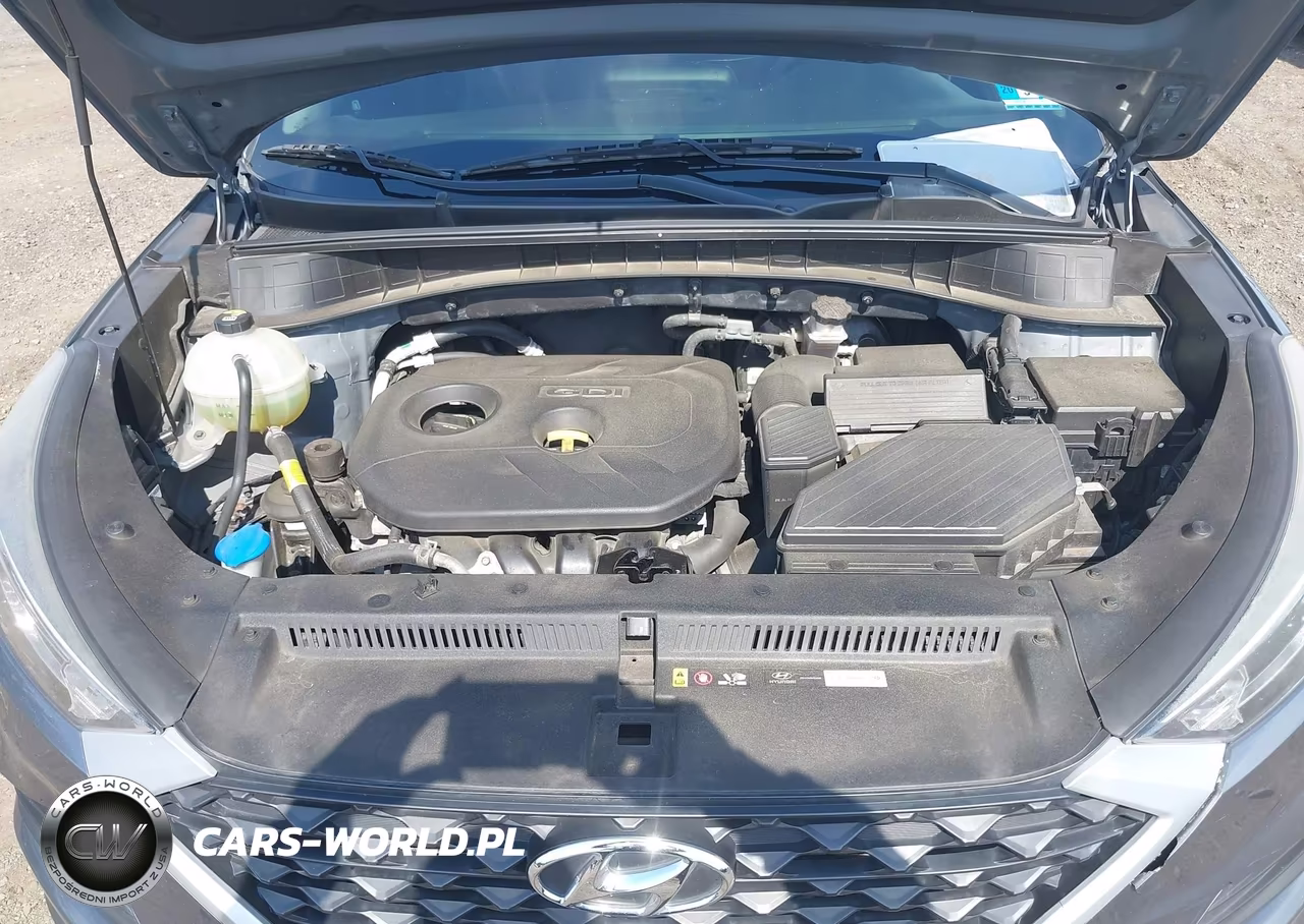 2019 Hyundai Tucson Value VIN:KM8J3CA4XKU077111 - 10