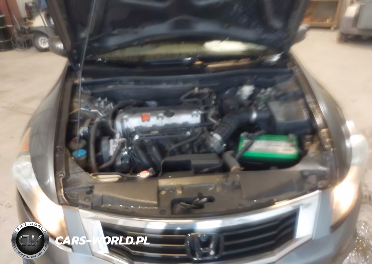 2010 Honda Accord 2.4 Lx VIN:1HGCP2F35AA073822 - 10