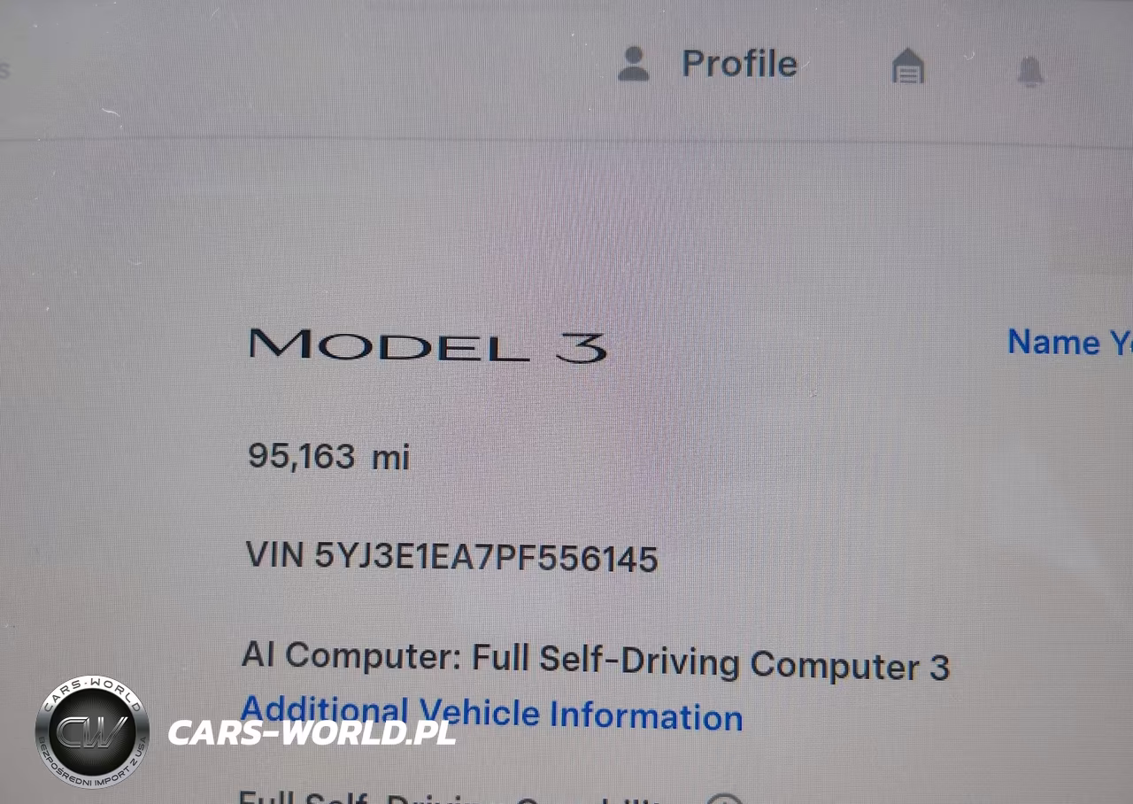2023 Tesla Model 3 Rear-Wheel Drive VIN:5YJ3E1EA7PF556145 - 15