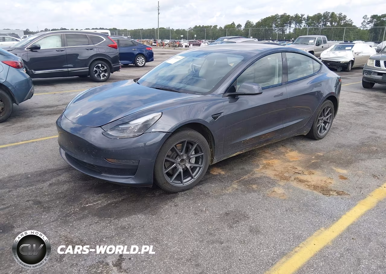2023 Tesla Model 3 Rear-Wheel Drive VIN:5YJ3E1EA7PF556145 - 2