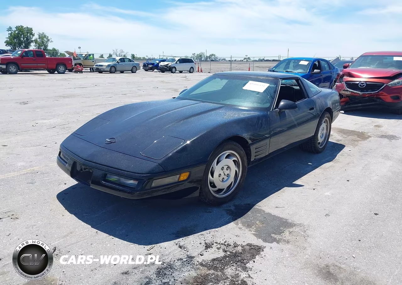 1993 Chevrolet Corvette VIN:1G1YY23P4P5113309 - 2