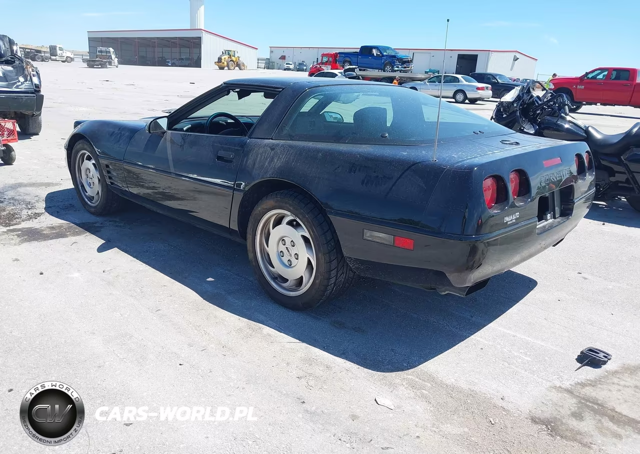 1993 Chevrolet Corvette VIN:1G1YY23P4P5113309 - 3