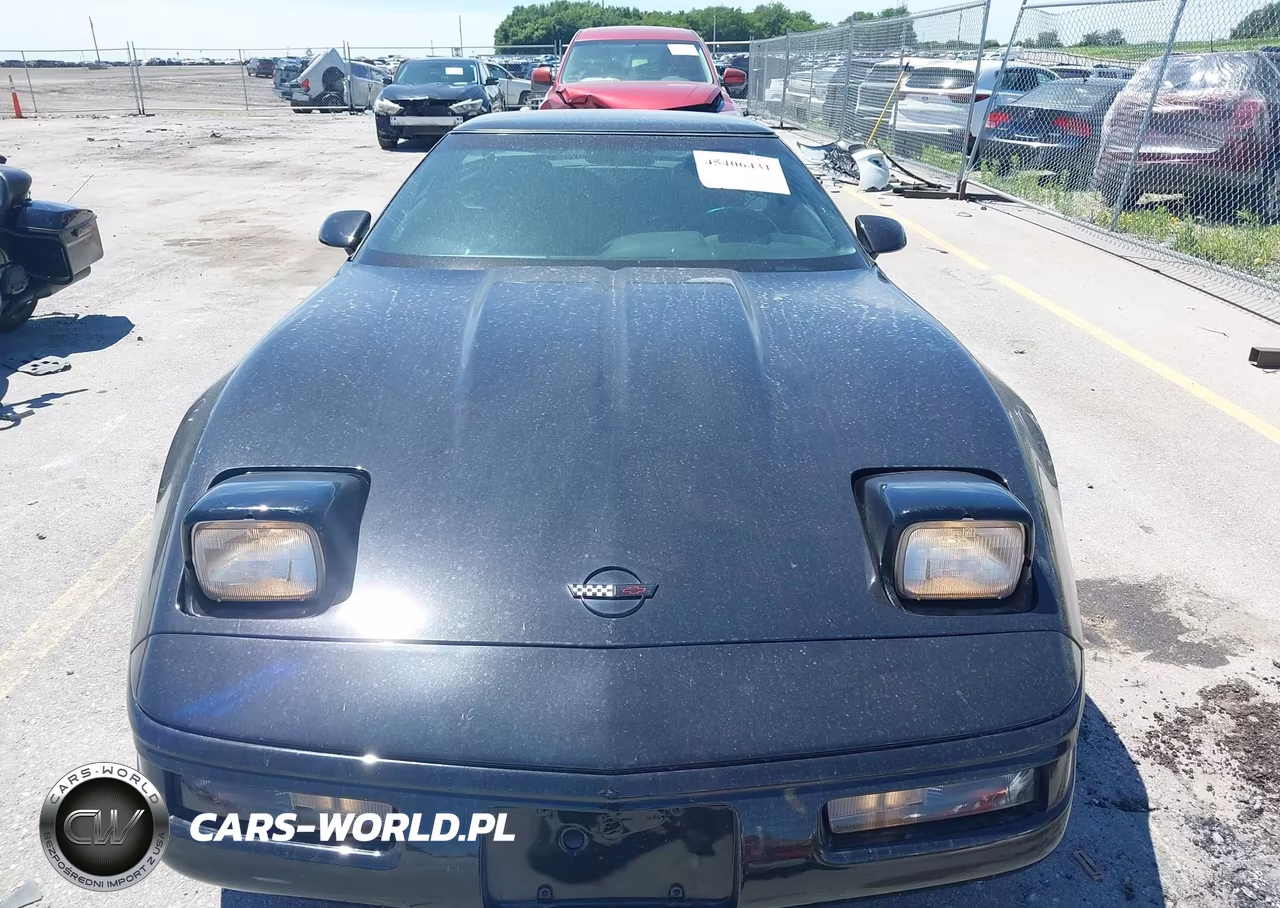 1993 Chevrolet Corvette VIN:1G1YY23P4P5113309 - 6
