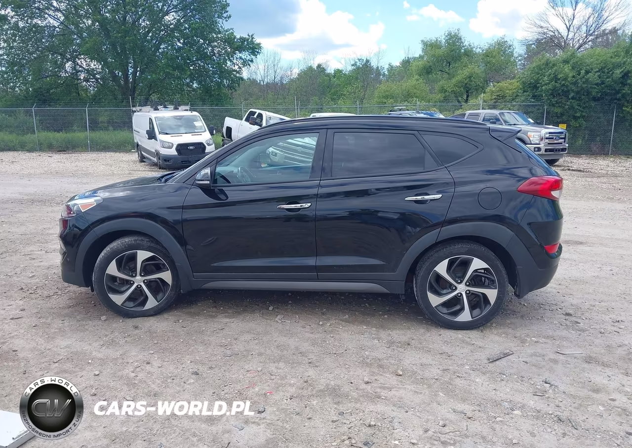 2016 Hyundai Tucson Limited VIN:KM8J3CA2XGU257467 - 14