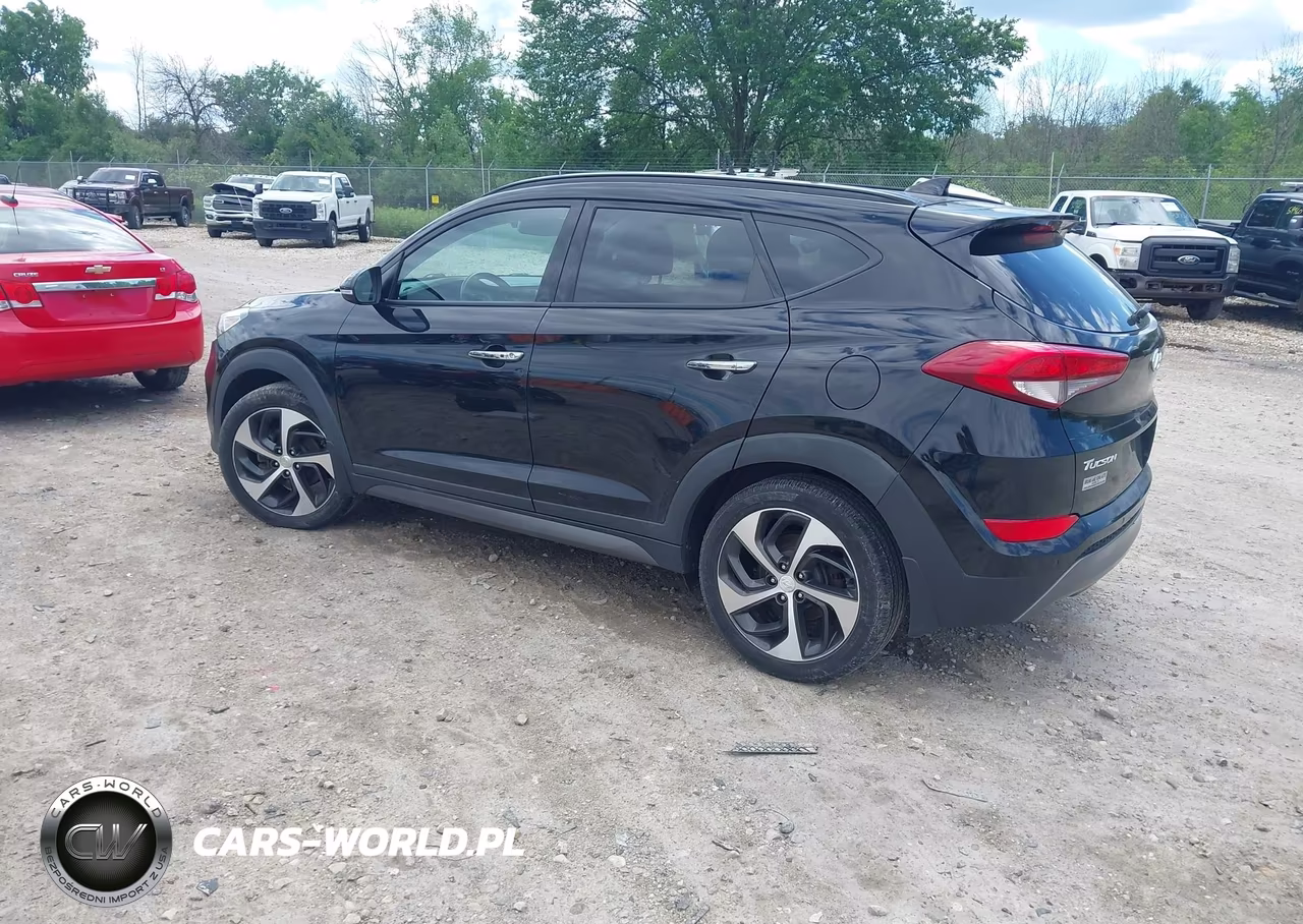 2016 Hyundai Tucson Limited VIN:KM8J3CA2XGU257467 - 3