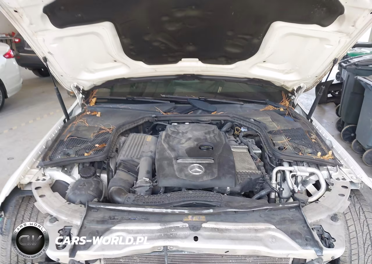 2018 Mercedes-Benz C 300 VIN:55SWF4JBXJU270340 - 10