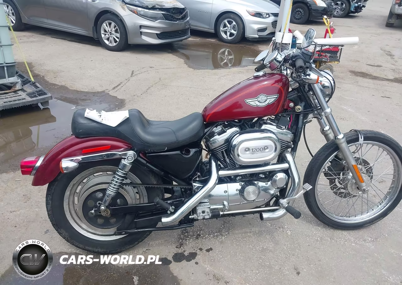 2003 Harley-Davidson Xl1200 C VIN:1HD1CGP113K443560 - 11