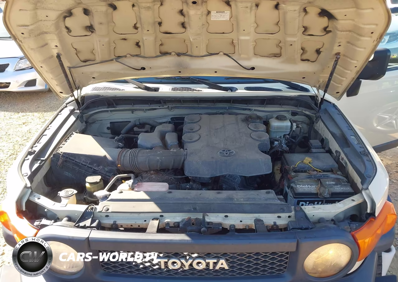 2010 Toyota Fj Cruiser VIN:JTEBU4BF7AK073941 - 10