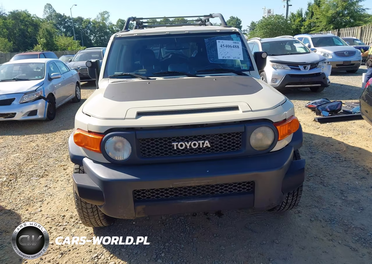 2010 Toyota Fj Cruiser VIN:JTEBU4BF7AK073941 - 12