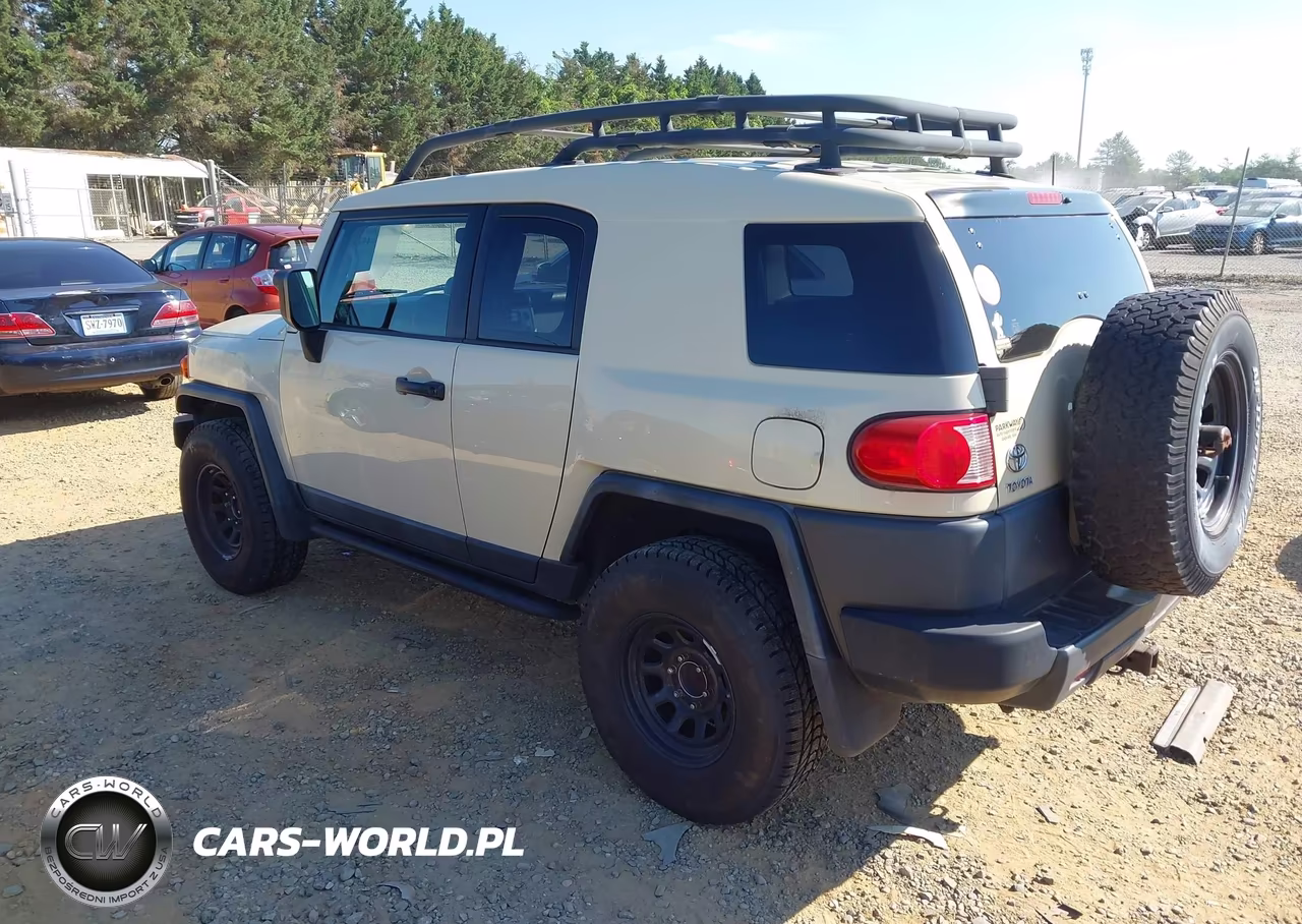 2010 Toyota Fj Cruiser VIN:JTEBU4BF7AK073941 - 3