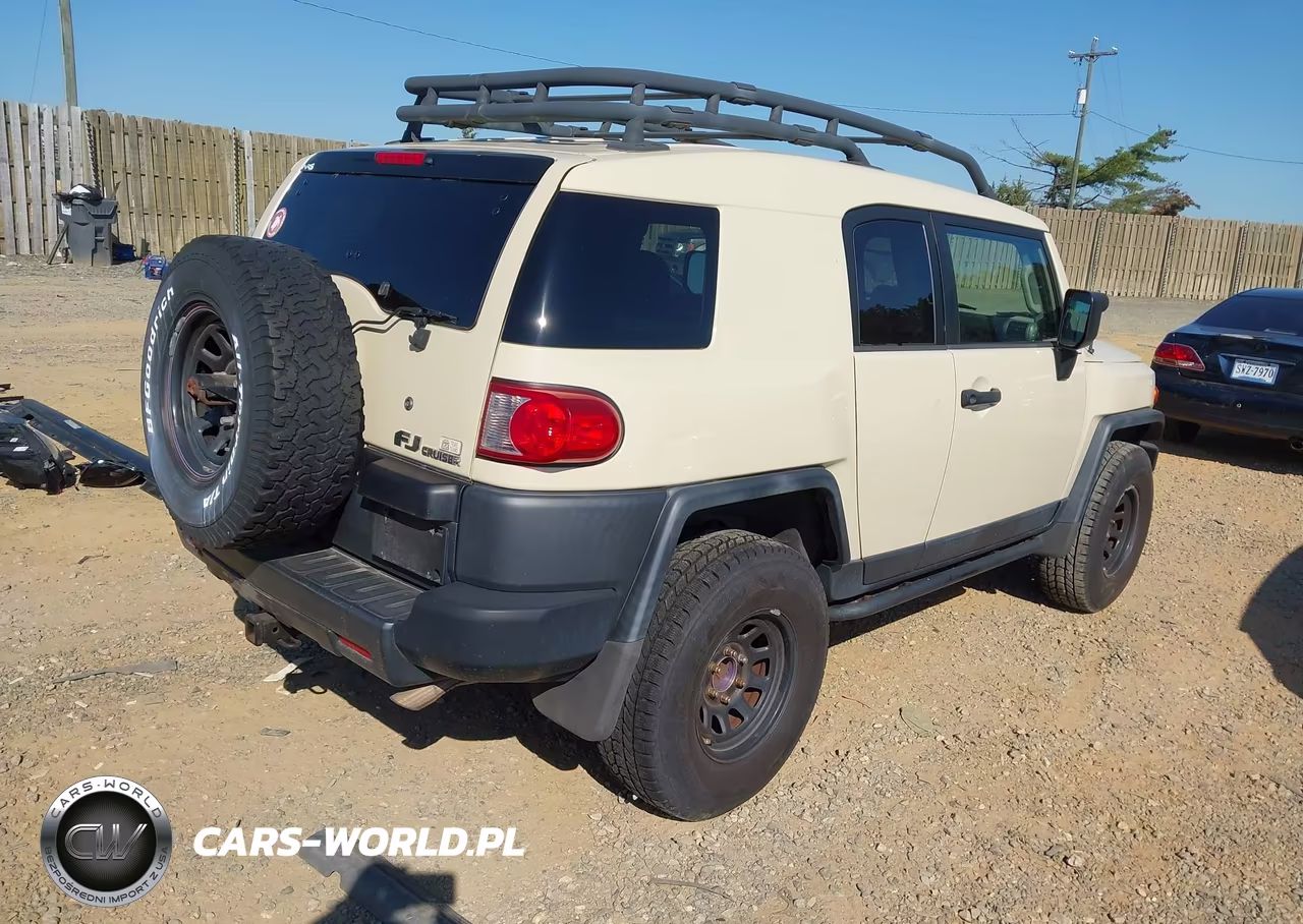 2010 Toyota Fj Cruiser VIN:JTEBU4BF7AK073941 - 4