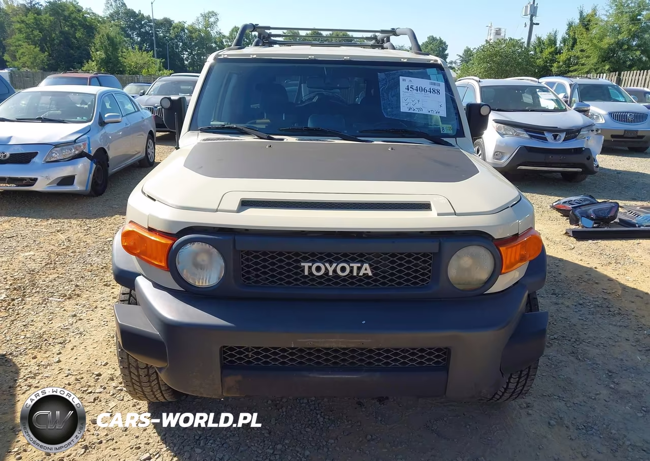 2010 Toyota Fj Cruiser VIN:JTEBU4BF7AK073941 - 6