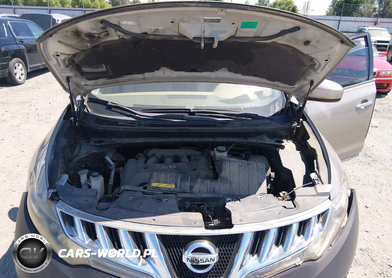2009 Nissan Murano Sl VIN:JN8AZ18W39W109463 - 10
