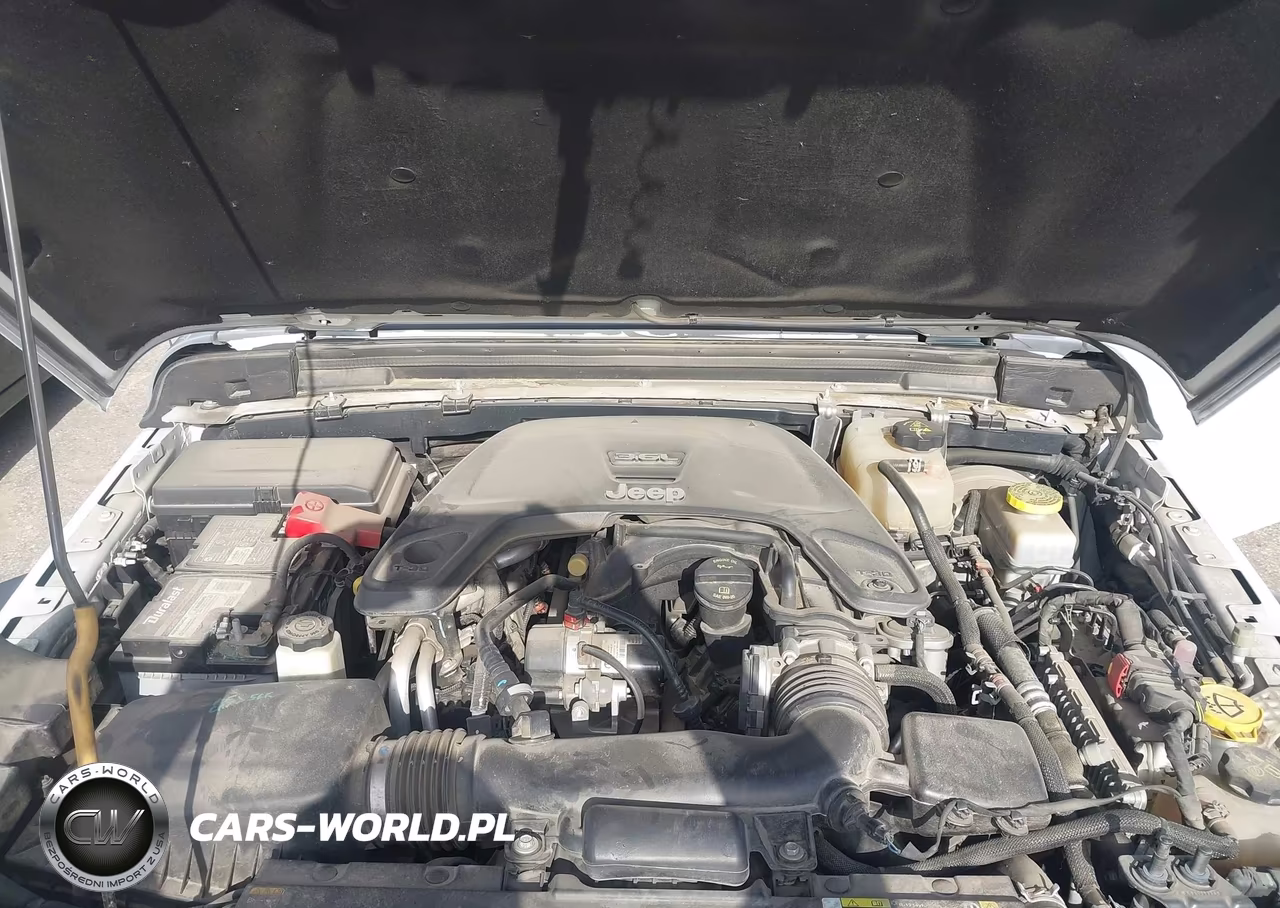 2021 Jeep Wrangler Unlimited Willys 4X4 VIN:1C4HJXDG8MW649984 - 10