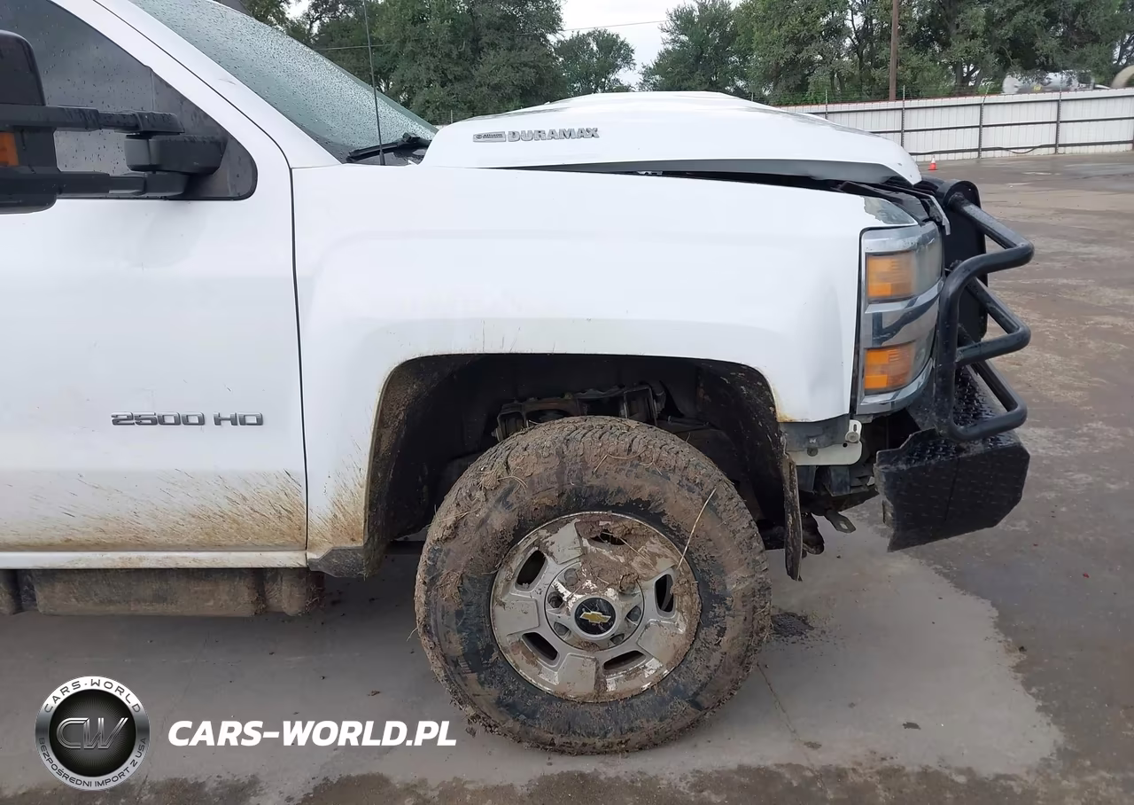 2015 Chevrolet Silverado 2500Hd Wt VIN:1GC1KUE8XFF511998 - 21