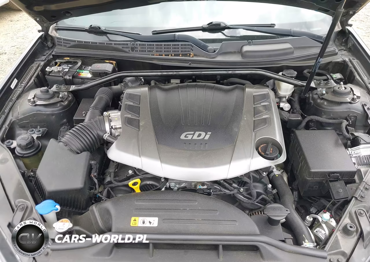 2015 Hyundai Genesis 3.8 Ultimate VIN:KMHHU6KJ3FU123238 - 10