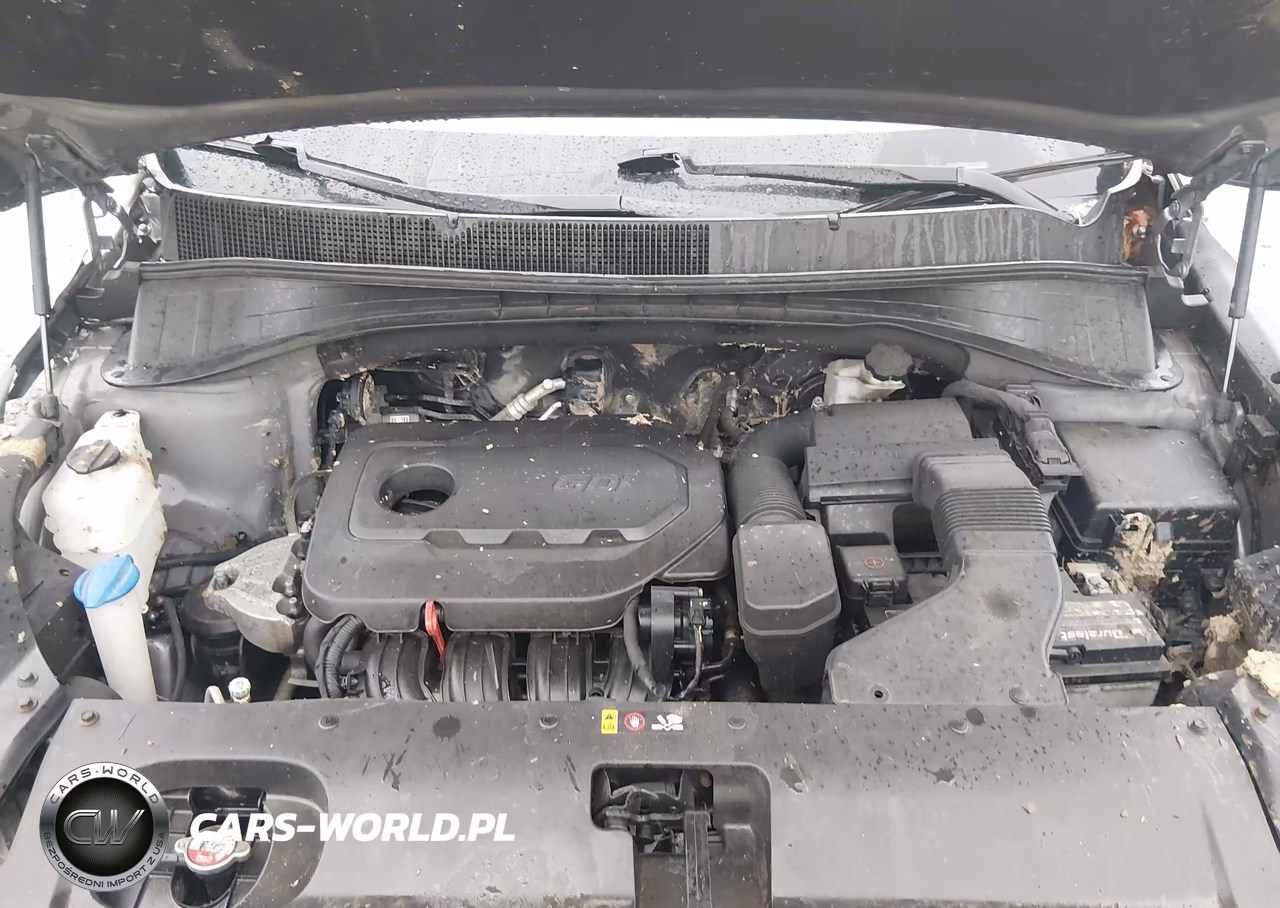 2018 Kia Sorento 2.4L Lx VIN:5XYPGDA33JG425203 - 10