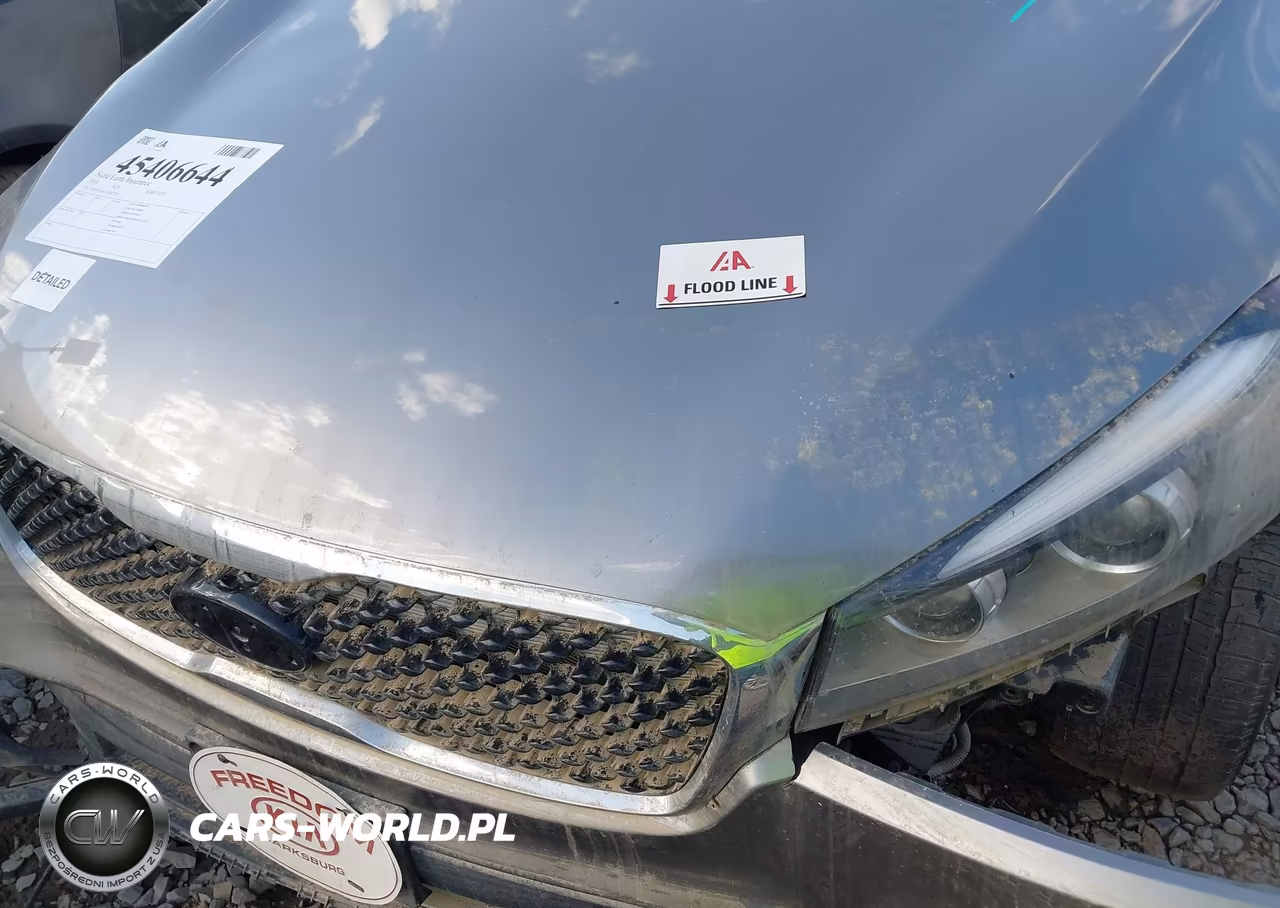 2018 Kia Sorento 2.4L Lx VIN:5XYPGDA33JG425203 - 13