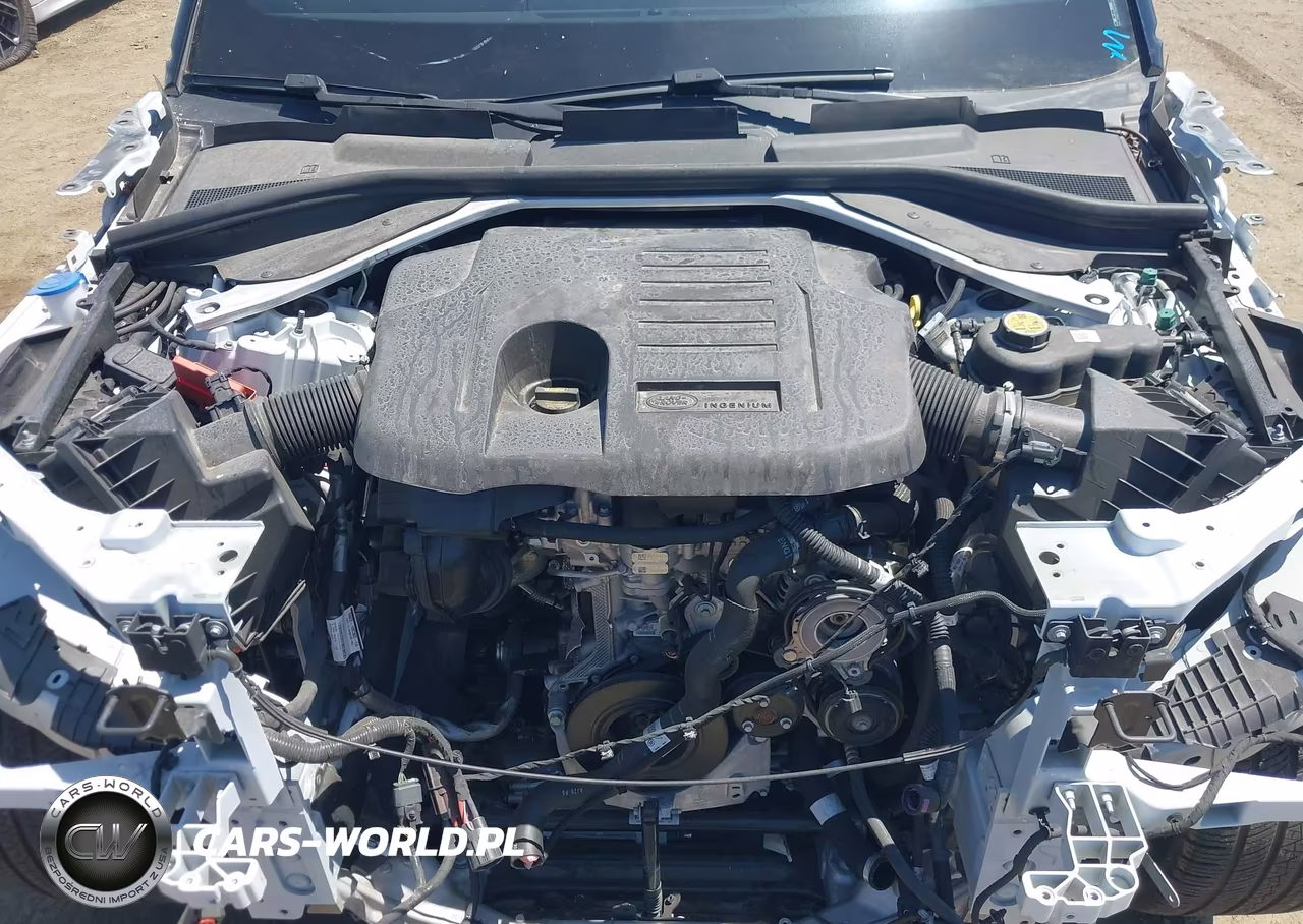 2024 Land Rover Range Rover Sport Se VIN:SAL1P9EU7RA185387 - 10