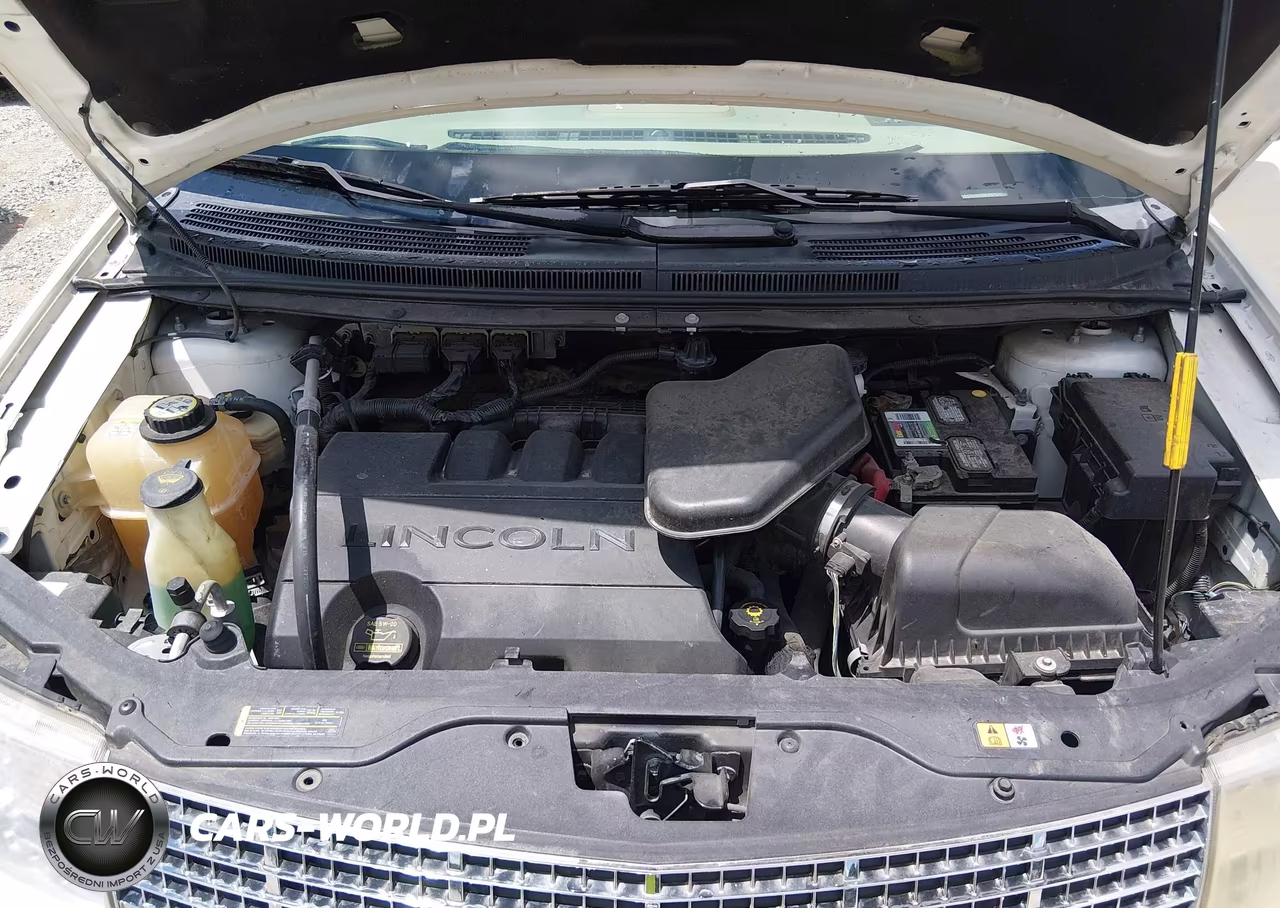 2007 Lincoln Mkx VIN:2LMDU88C57BJ02969 - 10