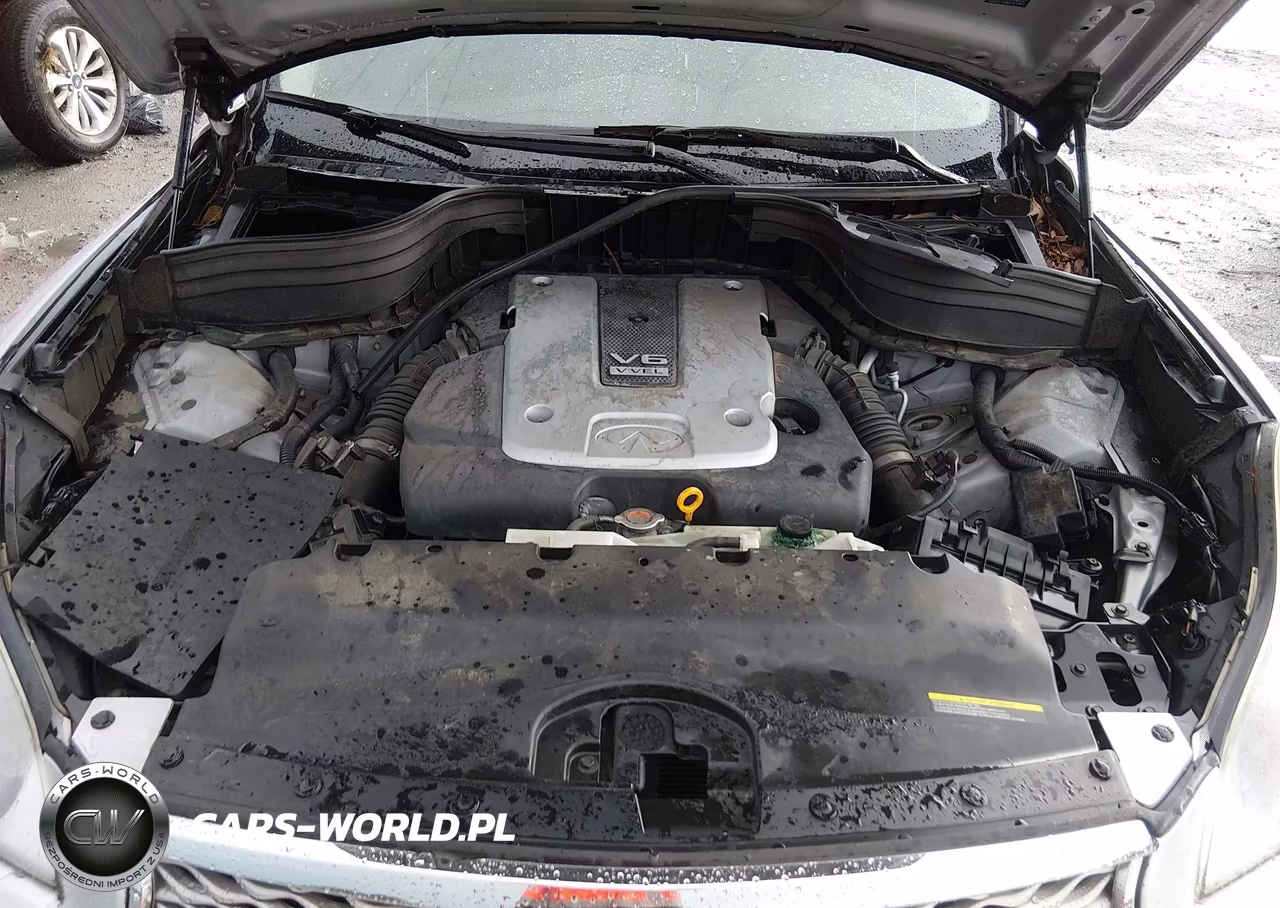 2016 Infiniti Qx50 VIN:JN1BJ0RR3GM270868 - 10