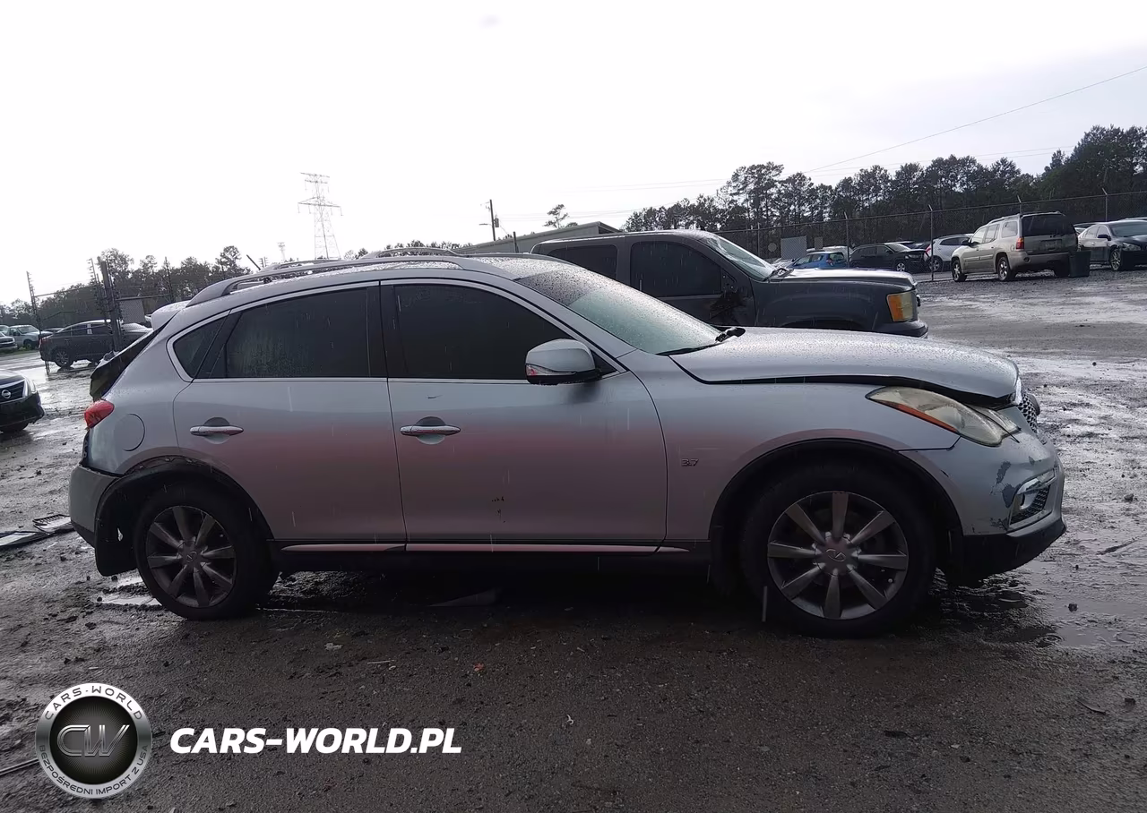 2016 Infiniti Qx50 VIN:JN1BJ0RR3GM270868 - 12