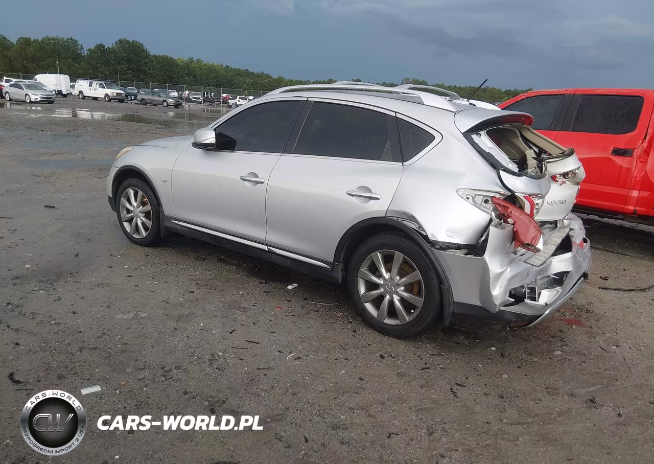 2016 Infiniti Qx50 VIN:JN1BJ0RR3GM270868 - 3