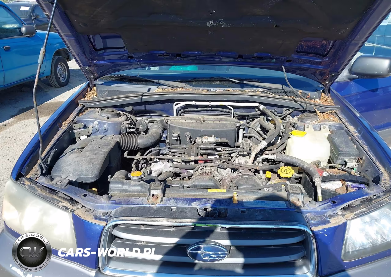 2004 Subaru Forester 2.5Xs VIN:JF1SG65684G707418 - 10