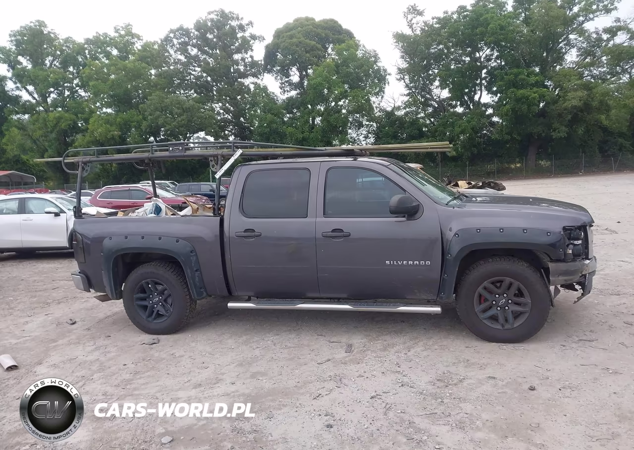 2010 Chevrolet Silverado 1500 Ls VIN:3GCRCREA7AG159034 - 13