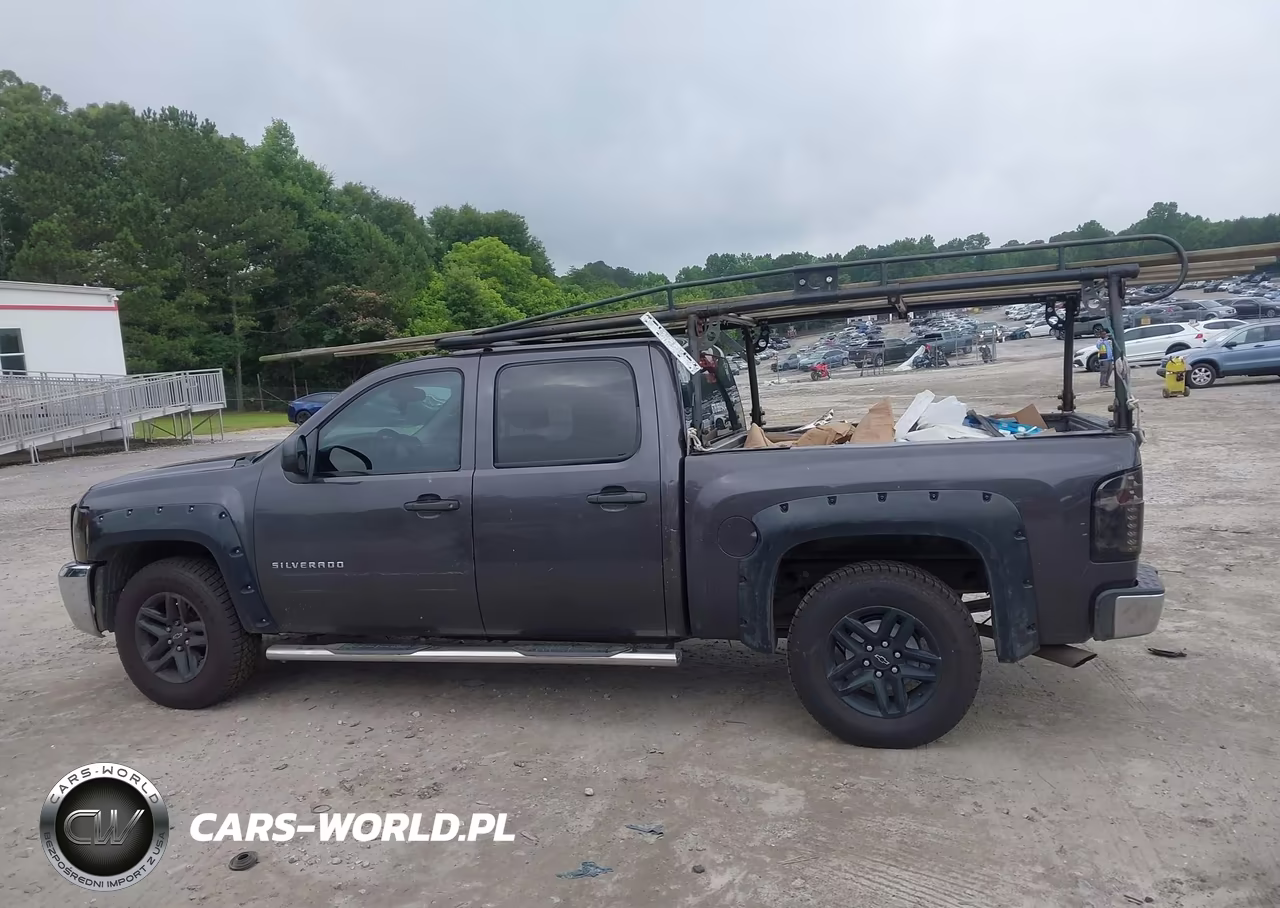 2010 Chevrolet Silverado 1500 Ls VIN:3GCRCREA7AG159034 - 14