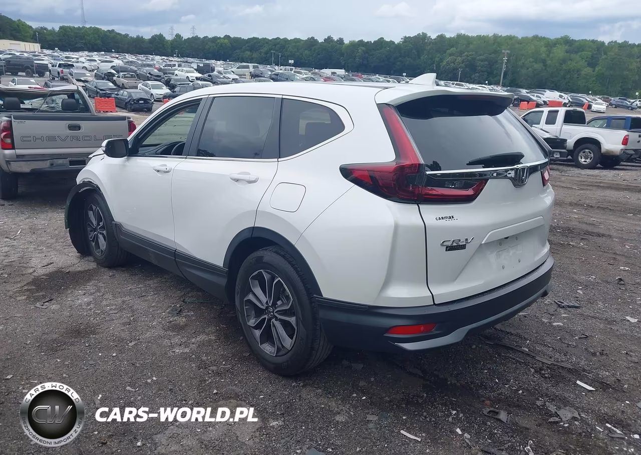 2020 Honda Cr-V 2Wd Ex-L VIN:5J6RW1H87LL001875 - 3