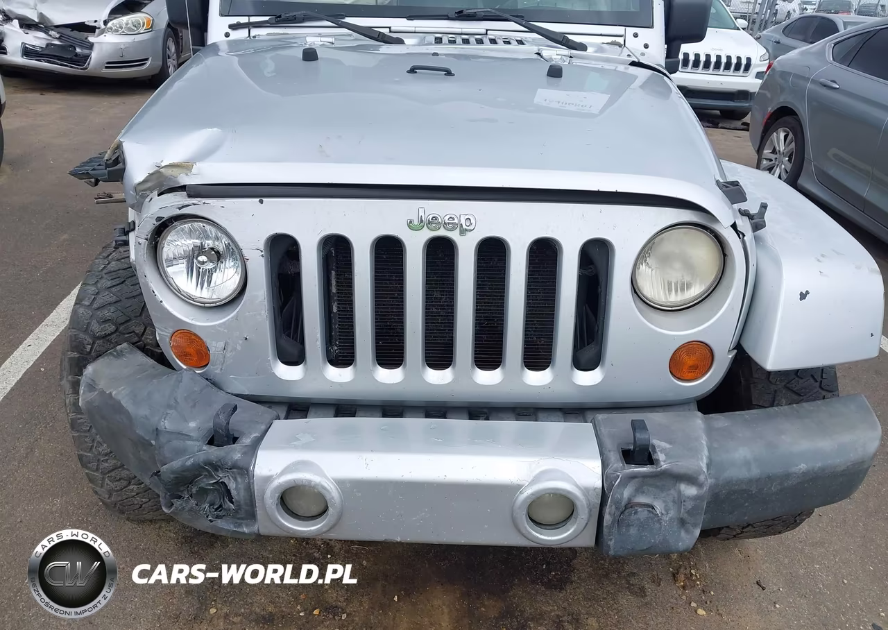 2008 Jeep Wrangler Unlimited Sahara VIN:1J4GA59158L520641 - 19