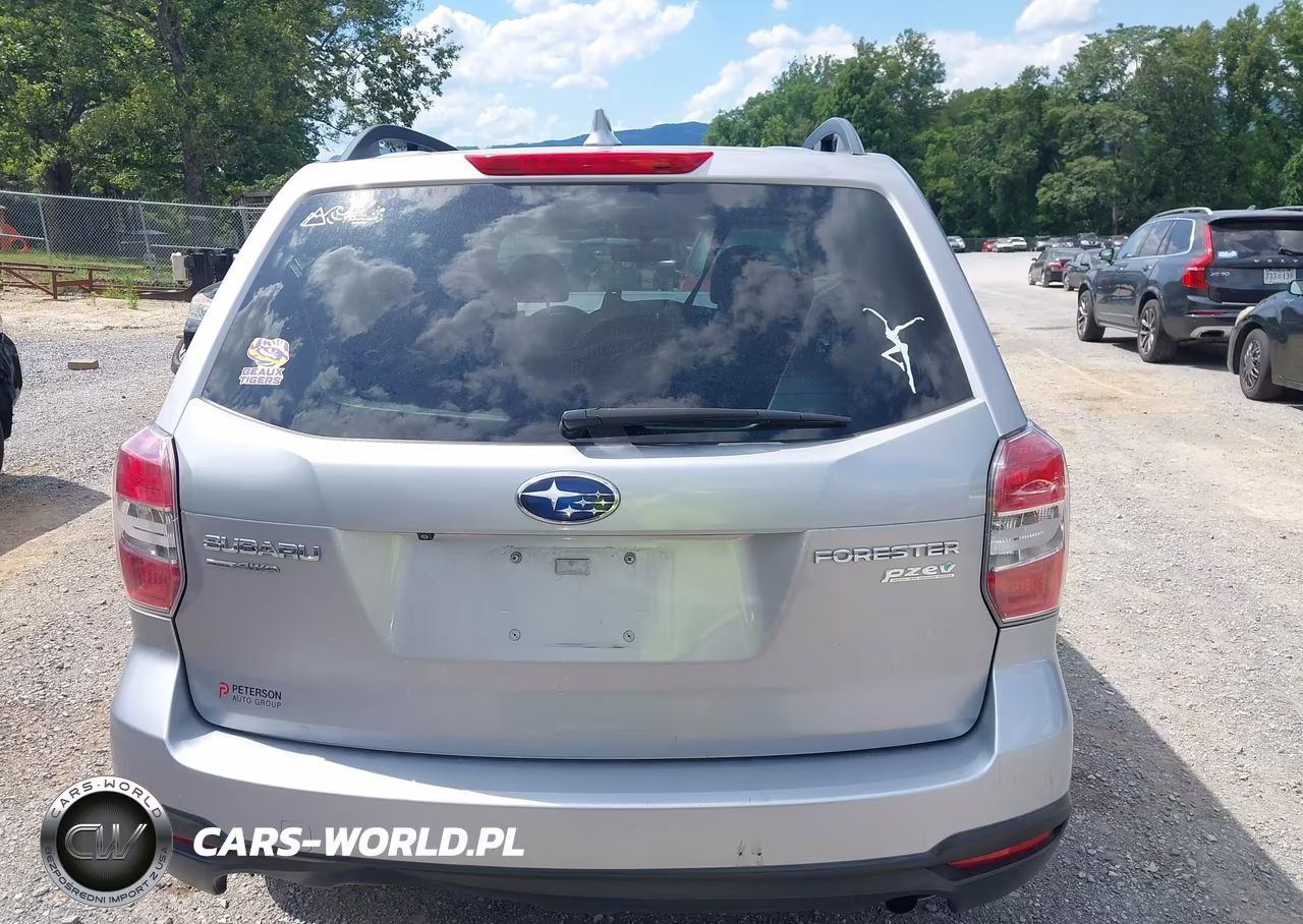 2016 Subaru Forester 2.5I Premium VIN:JF2SJADC2GH476215 - 17