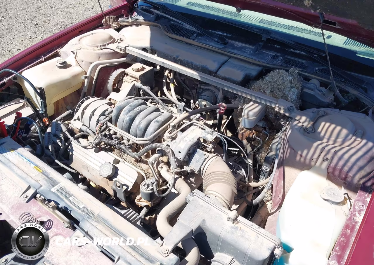 1995 Buick Lesabre Custom VIN:1G4HP52L9SH405681 - 6