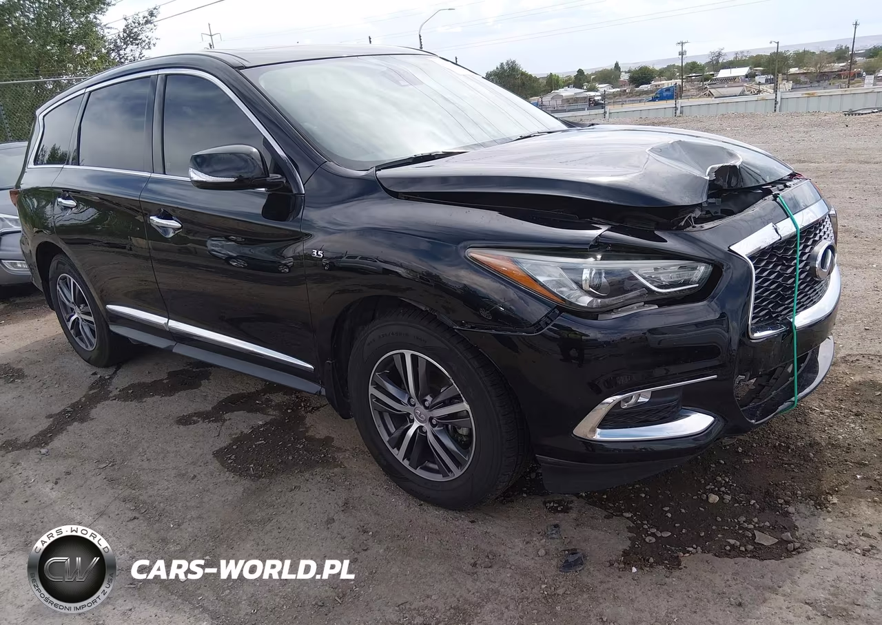 2019 Infiniti Qx60 Pure VIN:5N1DL0MN3KC559358 - 1