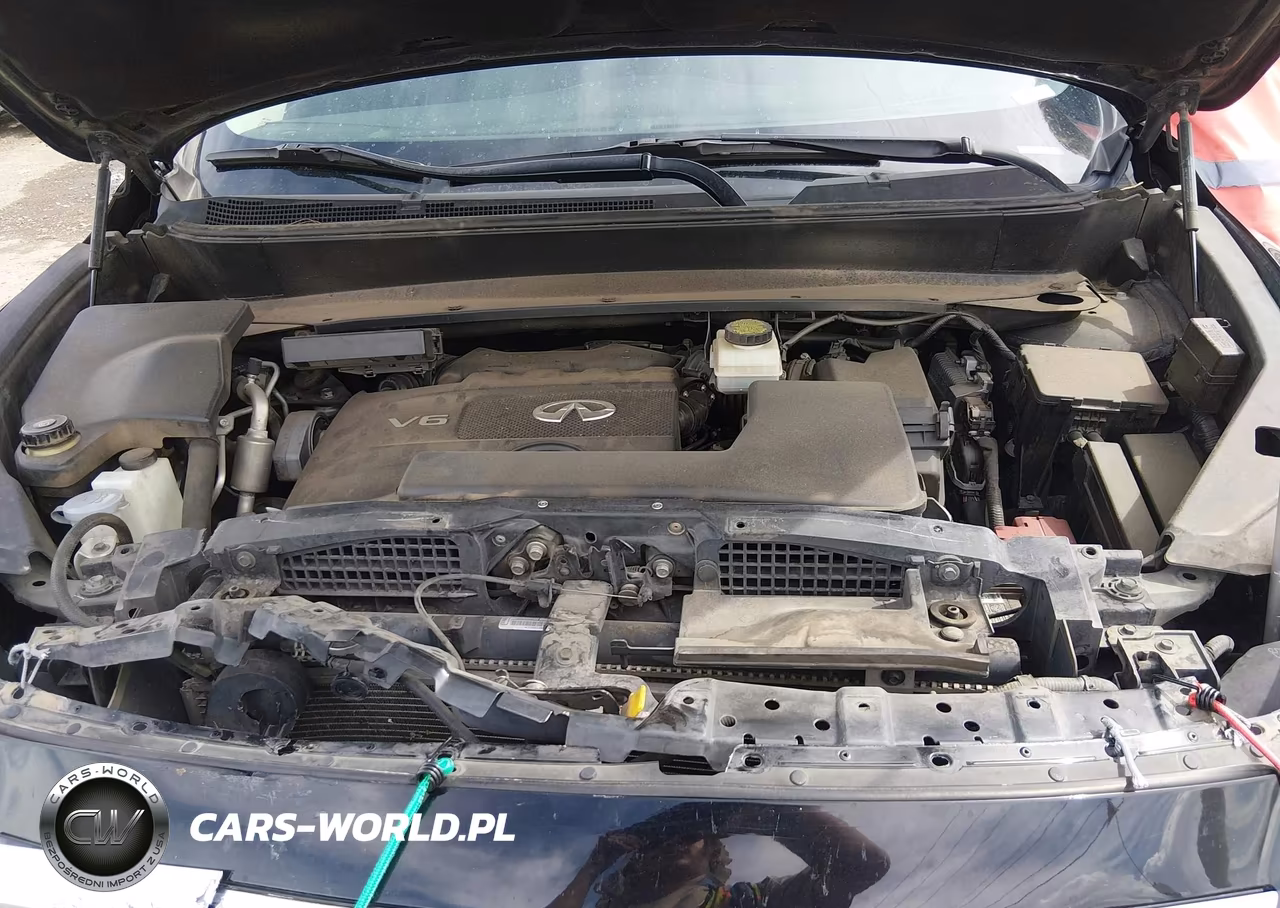 2019 Infiniti Qx60 Pure VIN:5N1DL0MN3KC559358 - 10