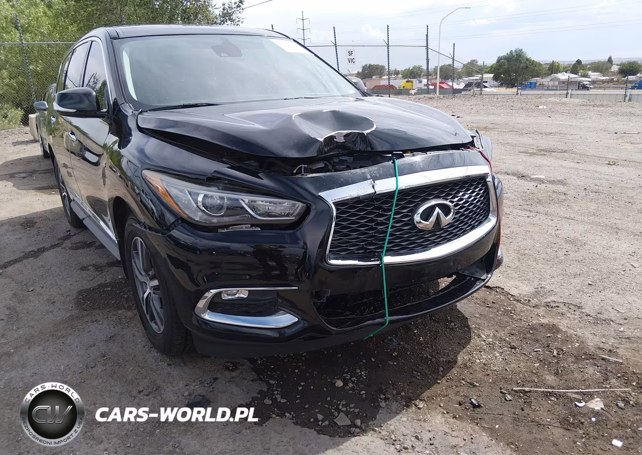 2019 Infiniti Qx60 Pure VIN:5N1DL0MN3KC559358 - 17