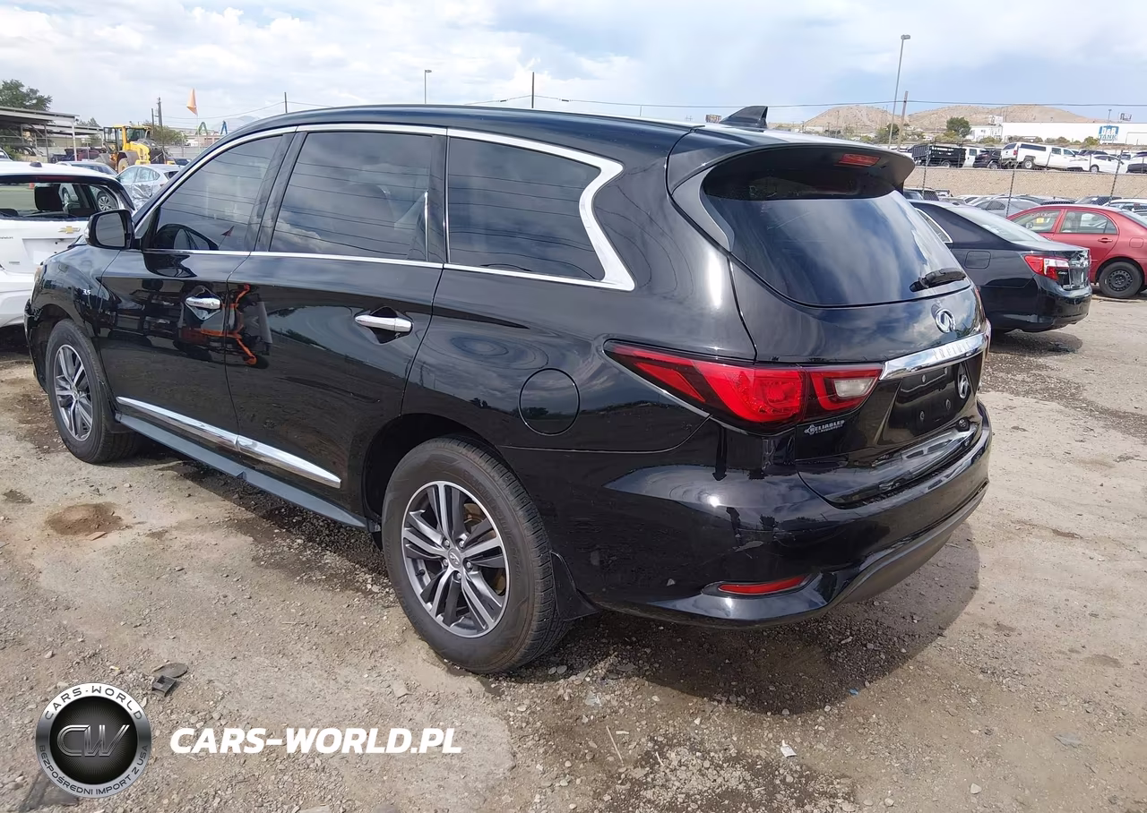 2019 Infiniti Qx60 Pure VIN:5N1DL0MN3KC559358 - 3