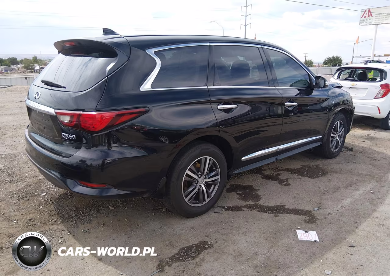 2019 Infiniti Qx60 Pure VIN:5N1DL0MN3KC559358 - 4